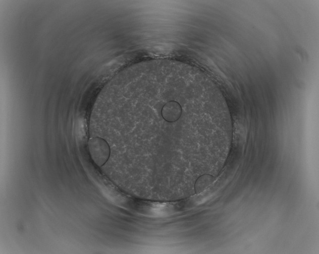 X0000110940130200907171616