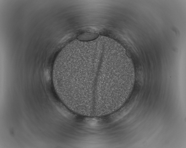 X0000110940131200907171616