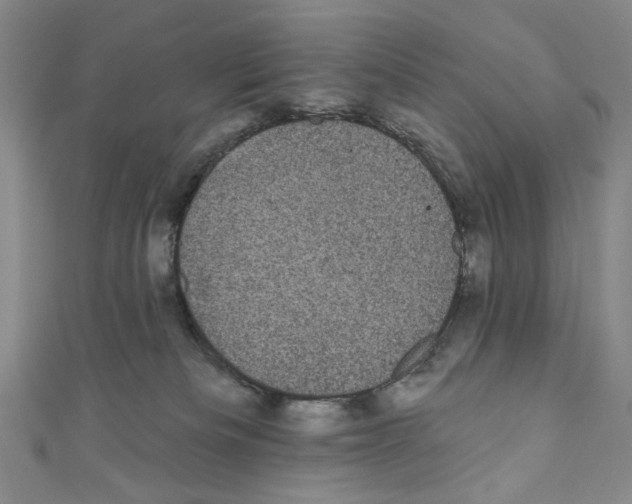 X0000110940133200907171616