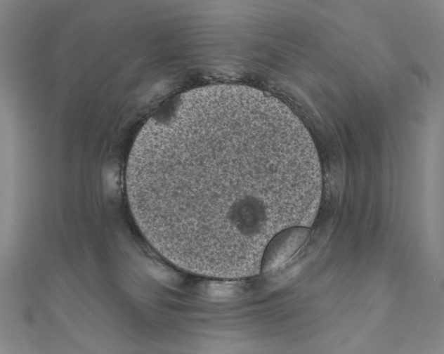 X0000110940134200907171615