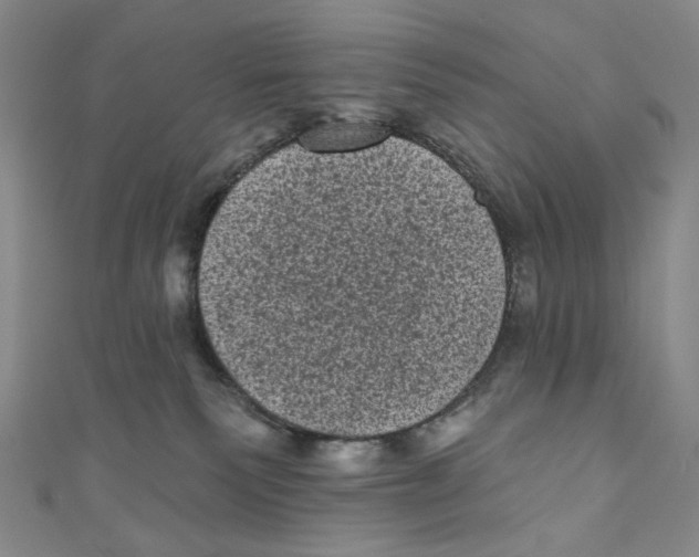 X0000110940135200907171615