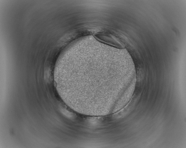 X0000110940136200907171615