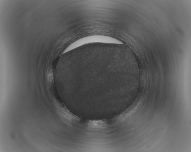 X0000110940137200907171615