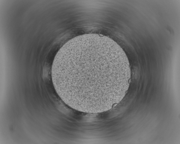 X0000110940138200907171615