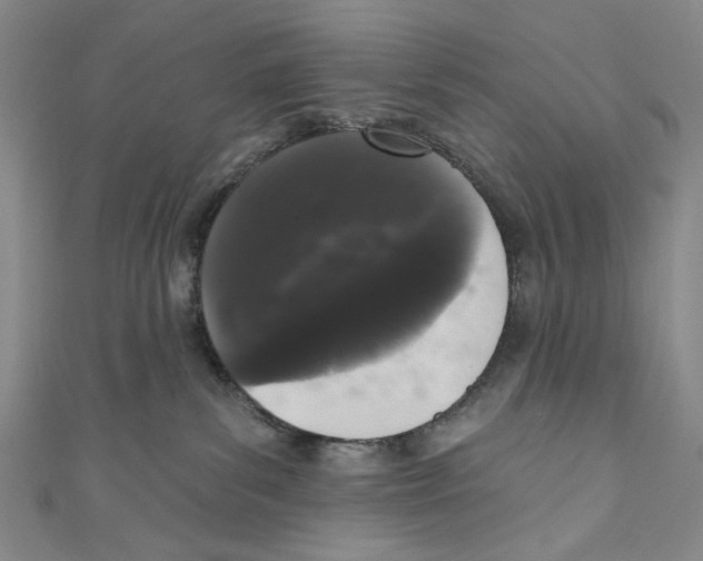 X0000110940139200907171615