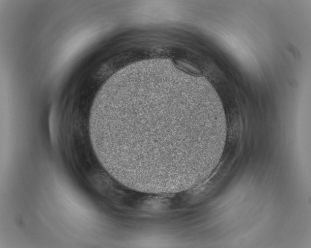 X0000110940140200907171615