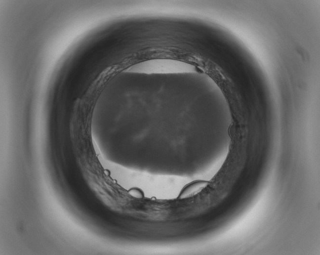 X0000110940143200907171615