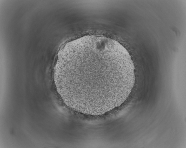 X0000110940144200907171615
