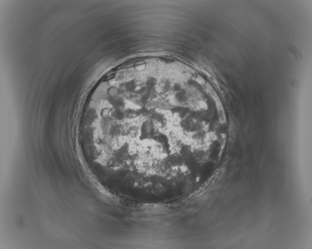 X0000110940145200907171615