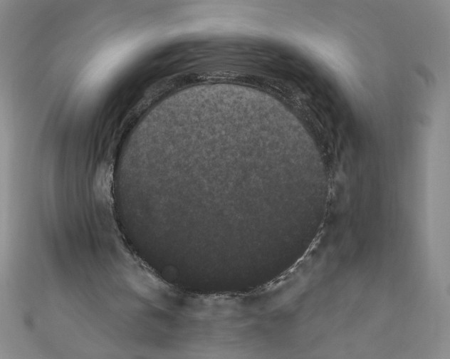 X0000110940146200907171615