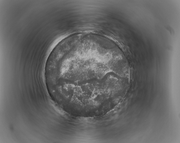 X0000110940147200907171615
