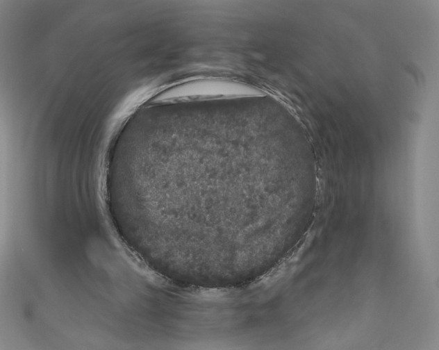 X0000110940149200907171615
