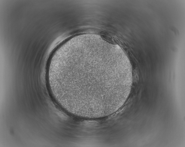 X0000110940150200907171615