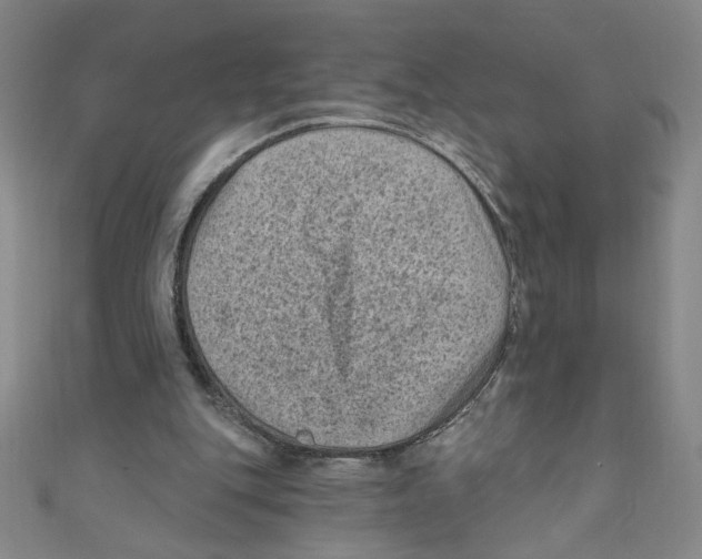 X0000110940151200907171615