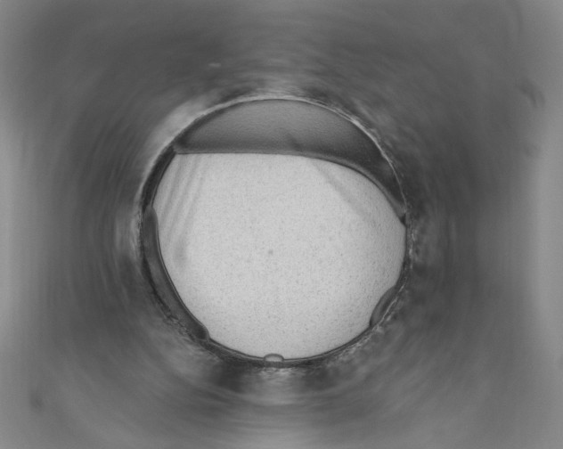 X0000110940152200907171615