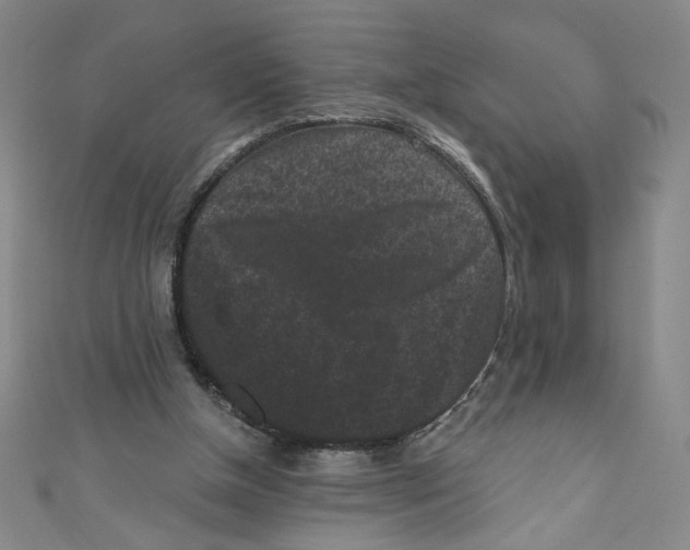 X0000110940154200907171615