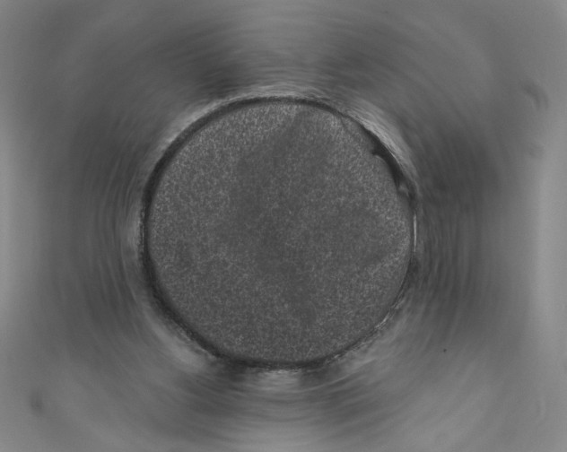 X0000110940156200907171615
