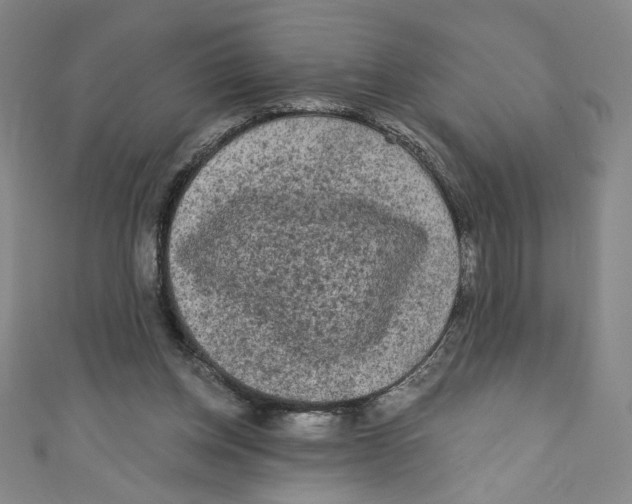 X0000110940158200907171615