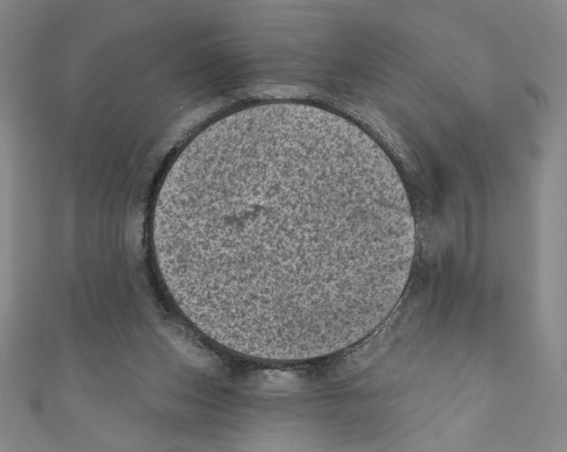 X0000110940159200907171615