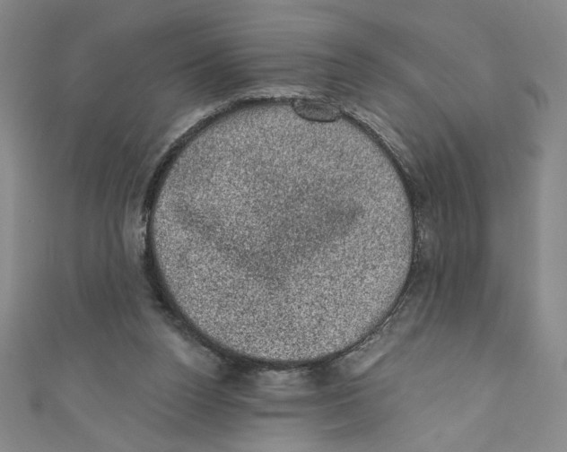 X0000110940160200907171615