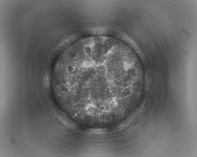 X0000110940161200907171615