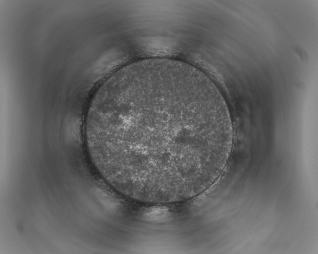 X0000110940162200907171615