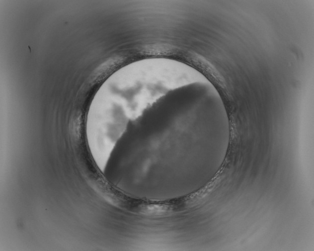 X0000110940163200907171615