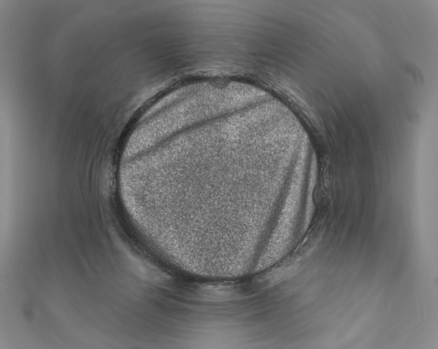 X0000110940164200907171615