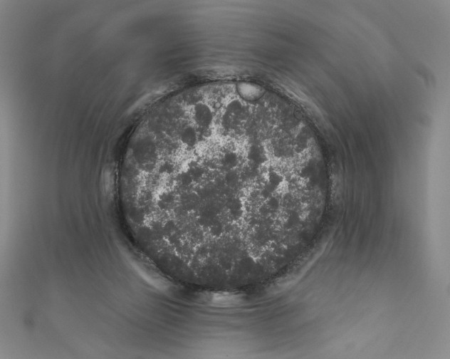X0000110940165200907171615