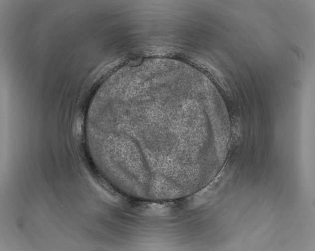 X0000110940166200907171615