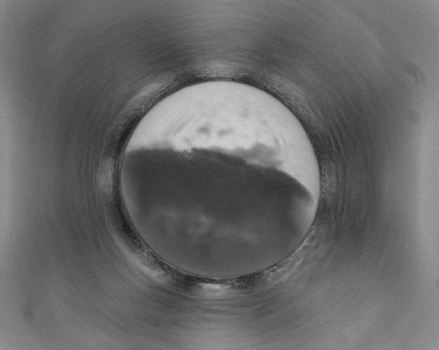 X0000110940167200907171615