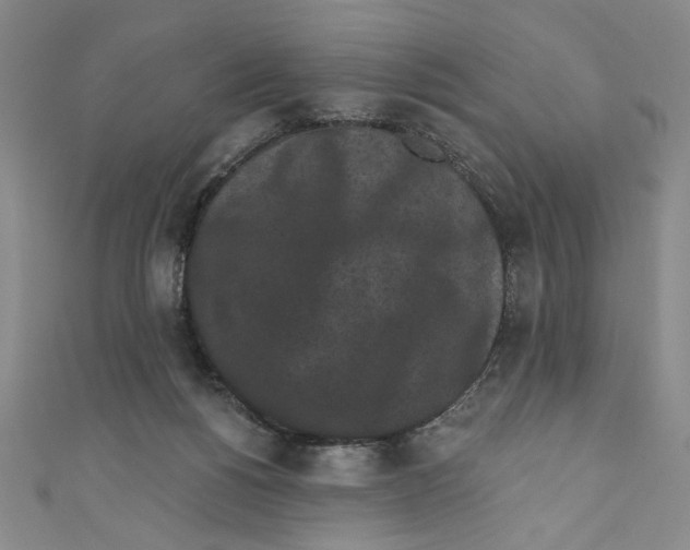 X0000110940168200907171615