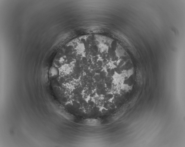 X0000110940169200907171615
