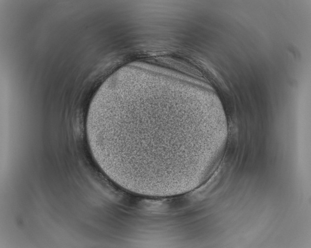 X0000110940170200907171615
