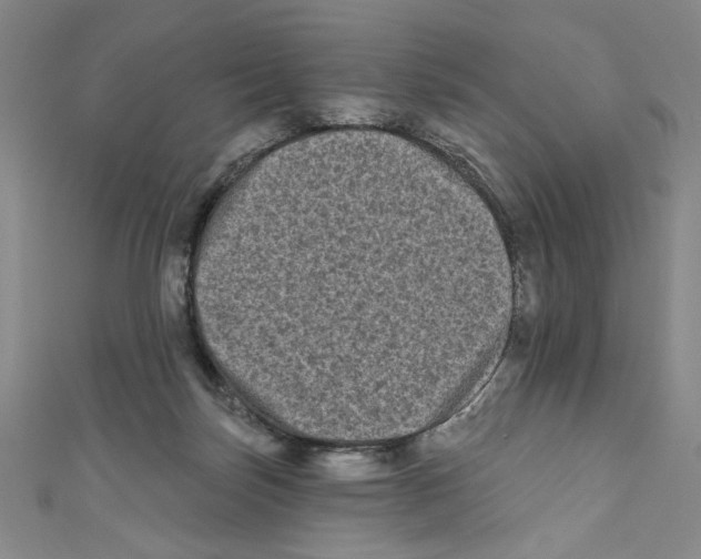 X0000110940171200907171615