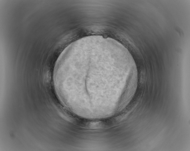 X0000110940173200907171615