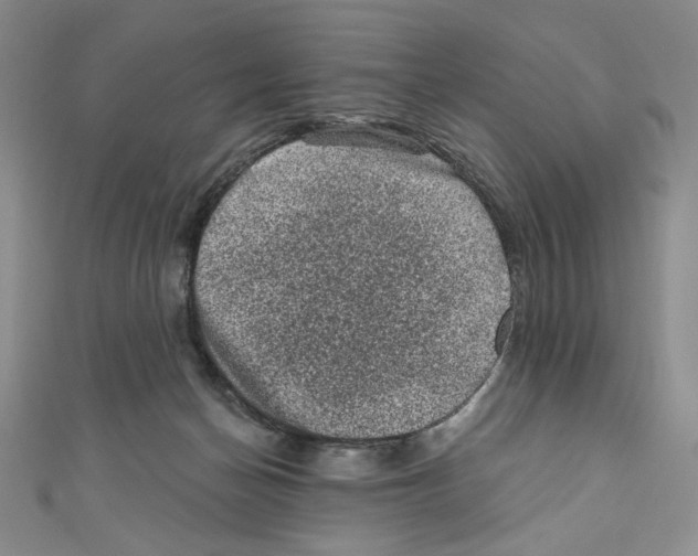 X0000110940174200907171615