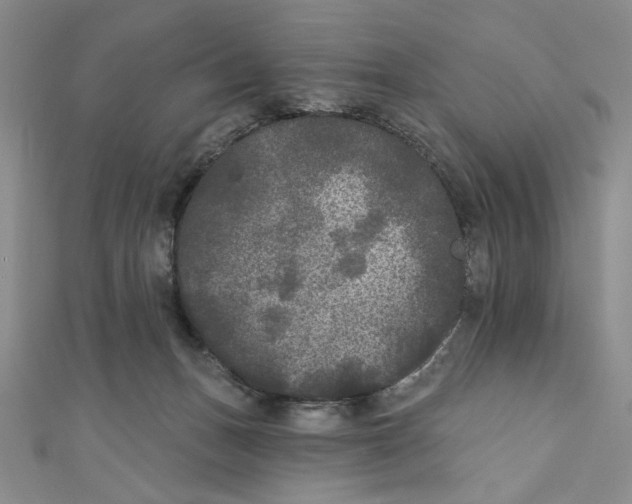 X0000110940175200907171615
