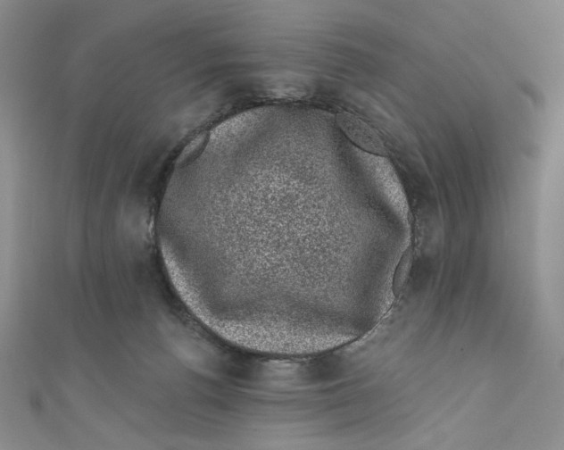 X0000110940176200907171615