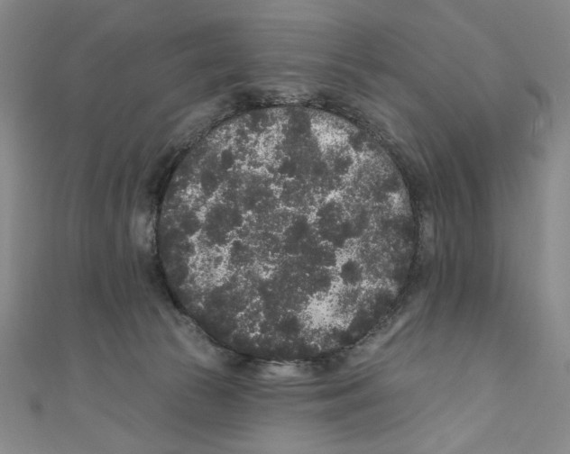 X0000110940177200907171615