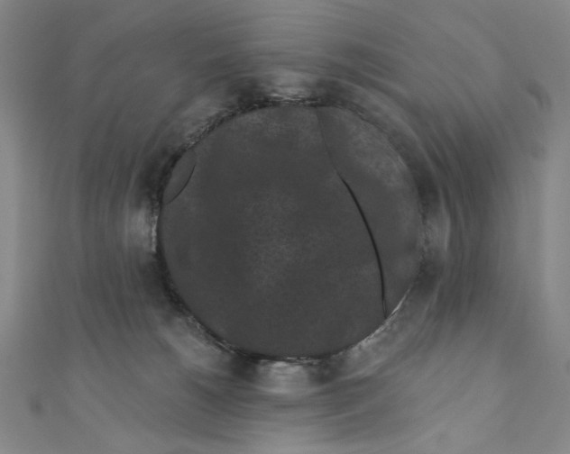 X0000110940180200907171615