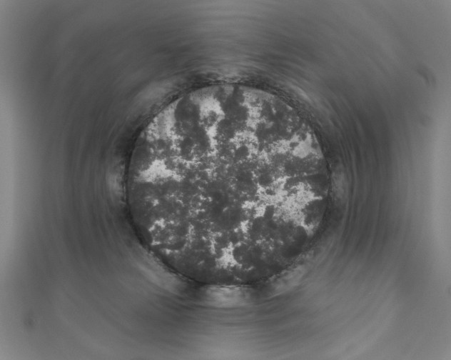 X0000110940181200907171615
