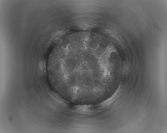 X0000110940182200907171615