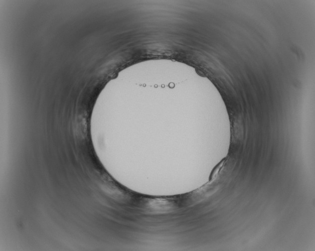 X0000110940183200907171615