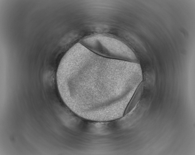 X0000110940184200907171615