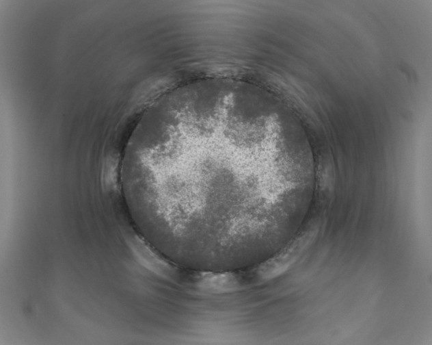 X0000110940185200907171615
