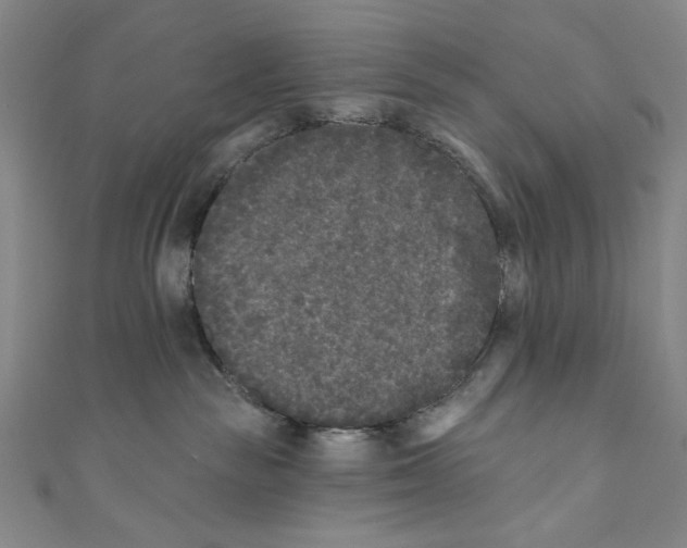 X0000110940189200907171615