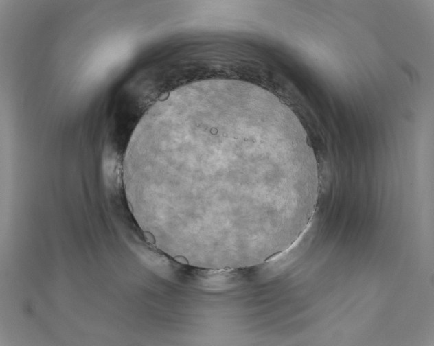 X0000110940191200907171615