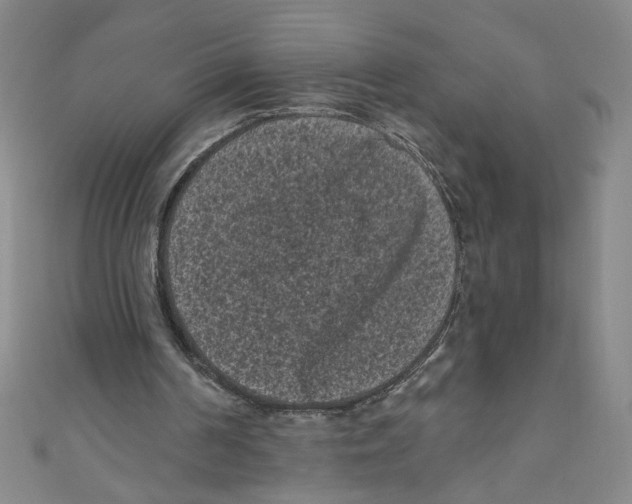 X0000110940194200907171615