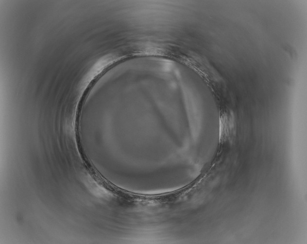 X0000110940195200907171615